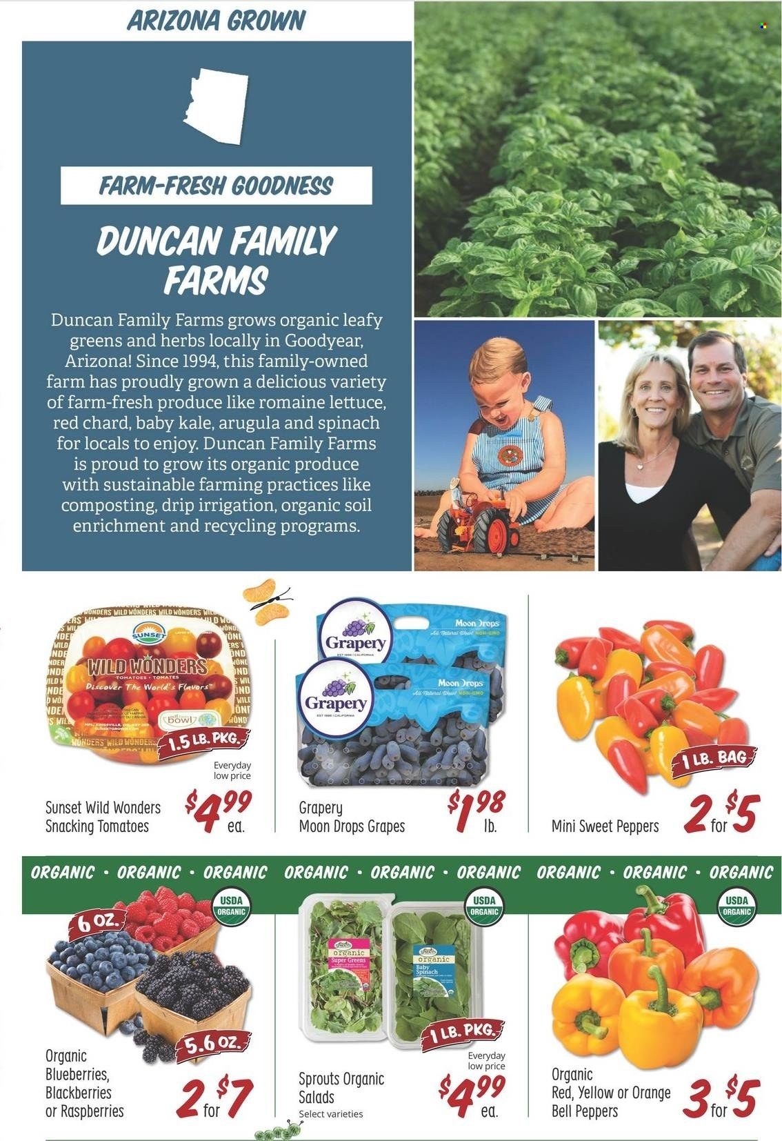 Sprouts Weekly Ad Flyer October 6 to October 13