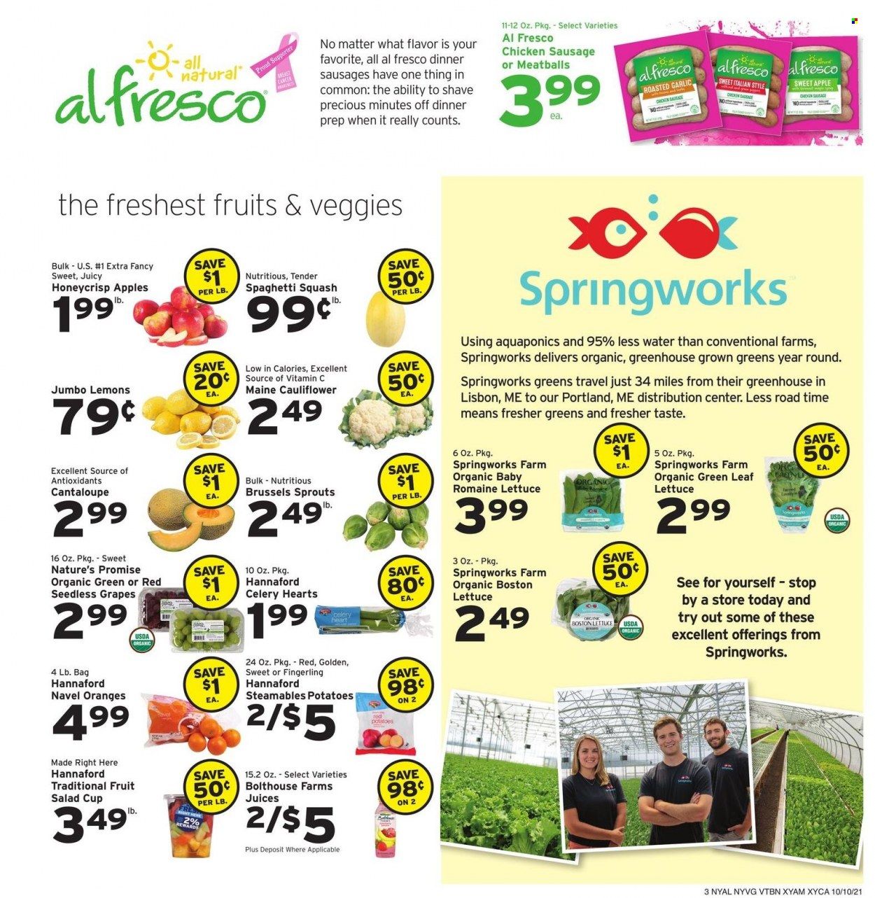 Hannaford (NY) Weekly Ad Flyer October 9 to October 16