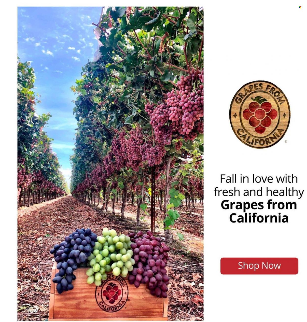 Hannaford (VT) Weekly Ad Flyer October 10 to October 17