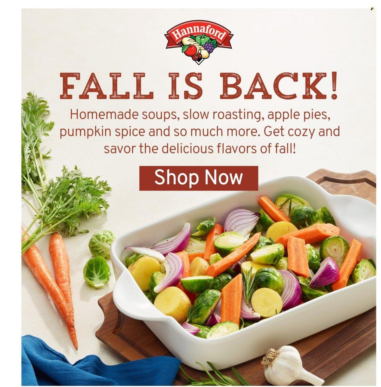 Hannaford (ME) Weekly Ad Flyer October 10 to October 17