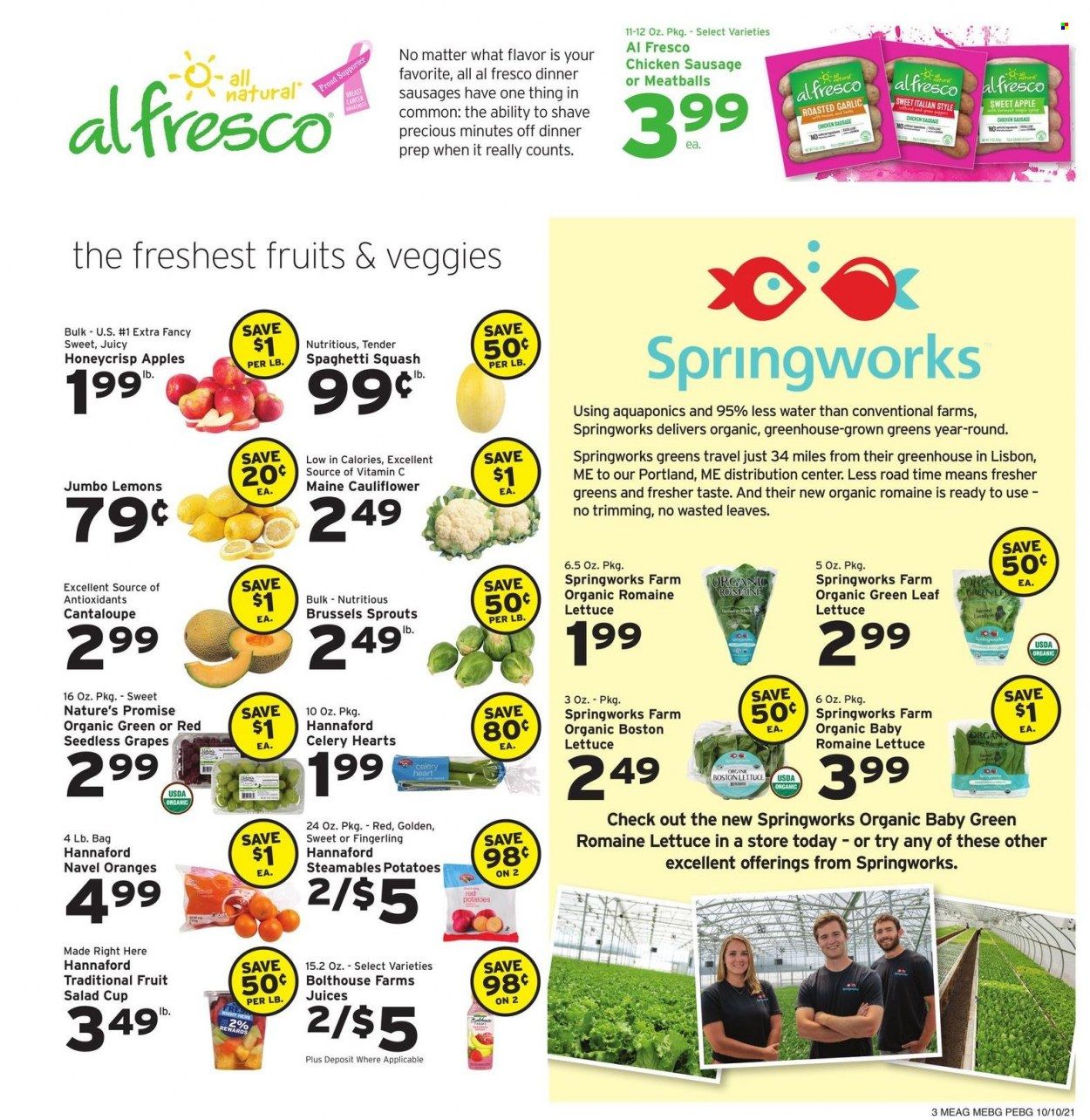 Hannaford (ME) Weekly Ad Flyer October 10 to October 17