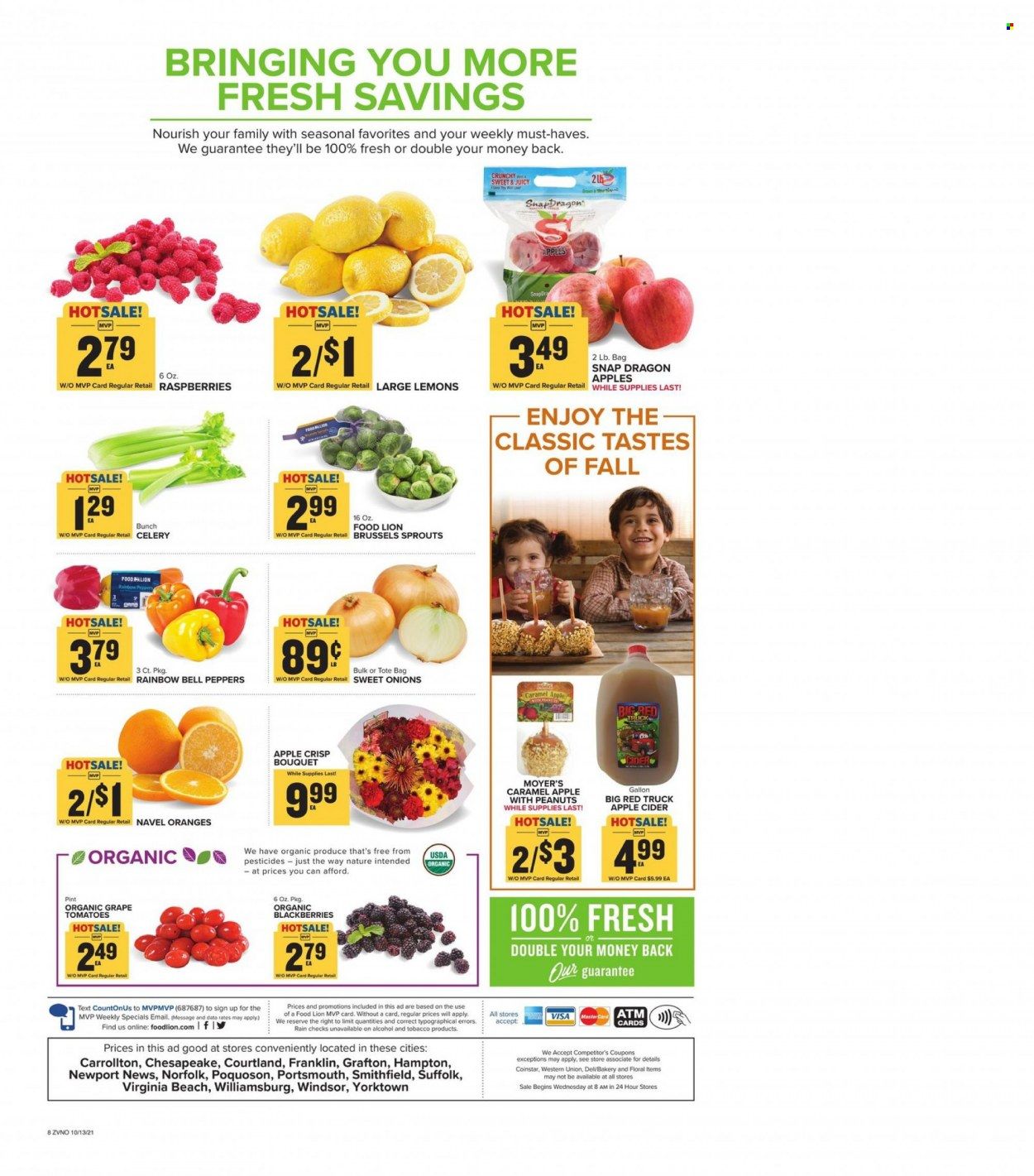 Food Lion (VA) Weekly Ad Flyer October 13 to October 20