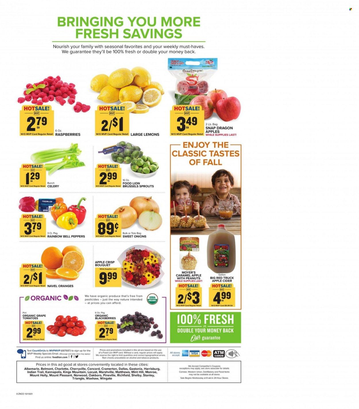 Food Lion (NC) Weekly Ad Flyer October 13 to October 20