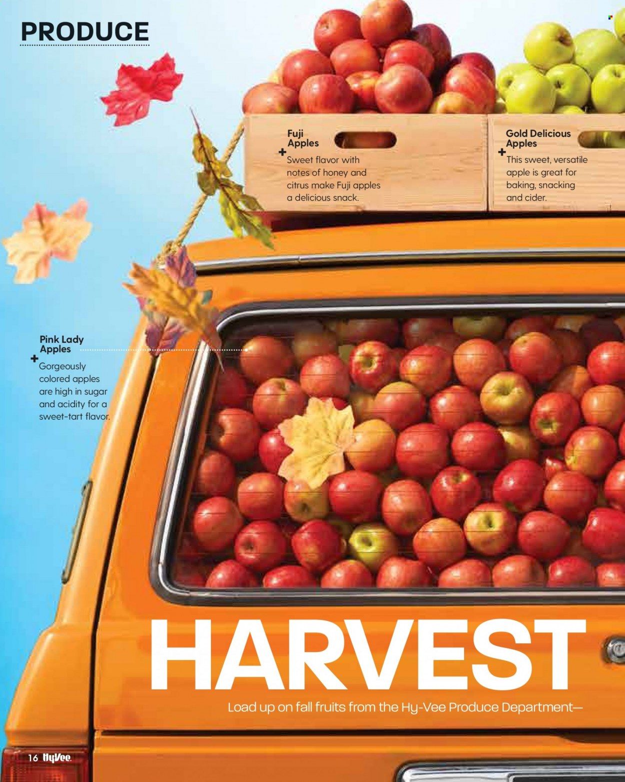 Hy-Vee (IA, IL, MN, MO, SD) Weekly Ad Flyer October 20 to October 27