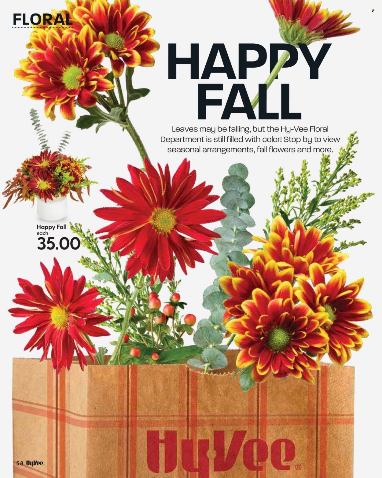 Hy-Vee (IA, IL, MN, MO, SD) Weekly Ad Flyer October 20 to October 27