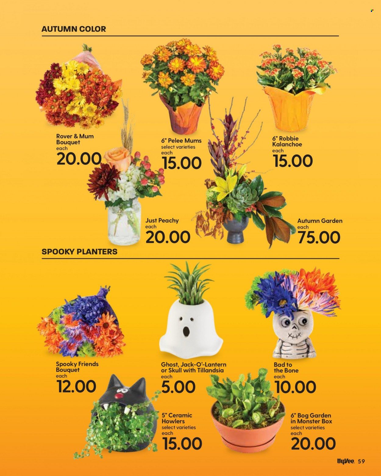 Hy-Vee (IA, IL, MN, MO, SD) Weekly Ad Flyer October 20 to October 27