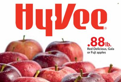 Hy-Vee (IA, IL, MN, MO, SD) Weekly Ad Flyer October 20 to October 27