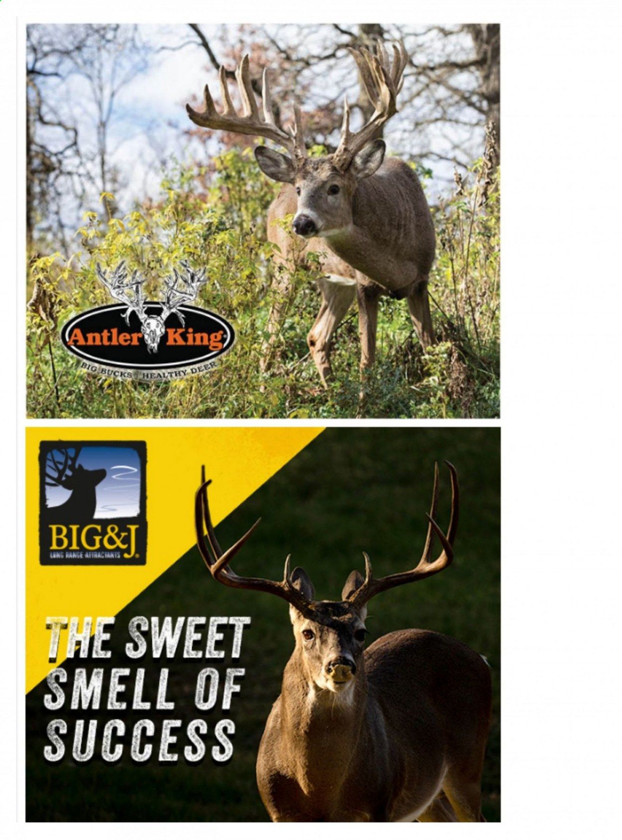 Dunham's Sports Weekly Ad Flyer October 21 to October 28
