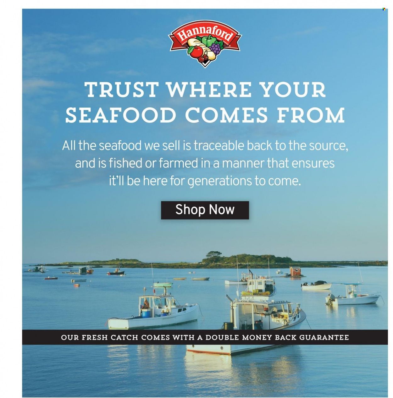 Hannaford (ME) Weekly Ad Flyer October 25 to November 1