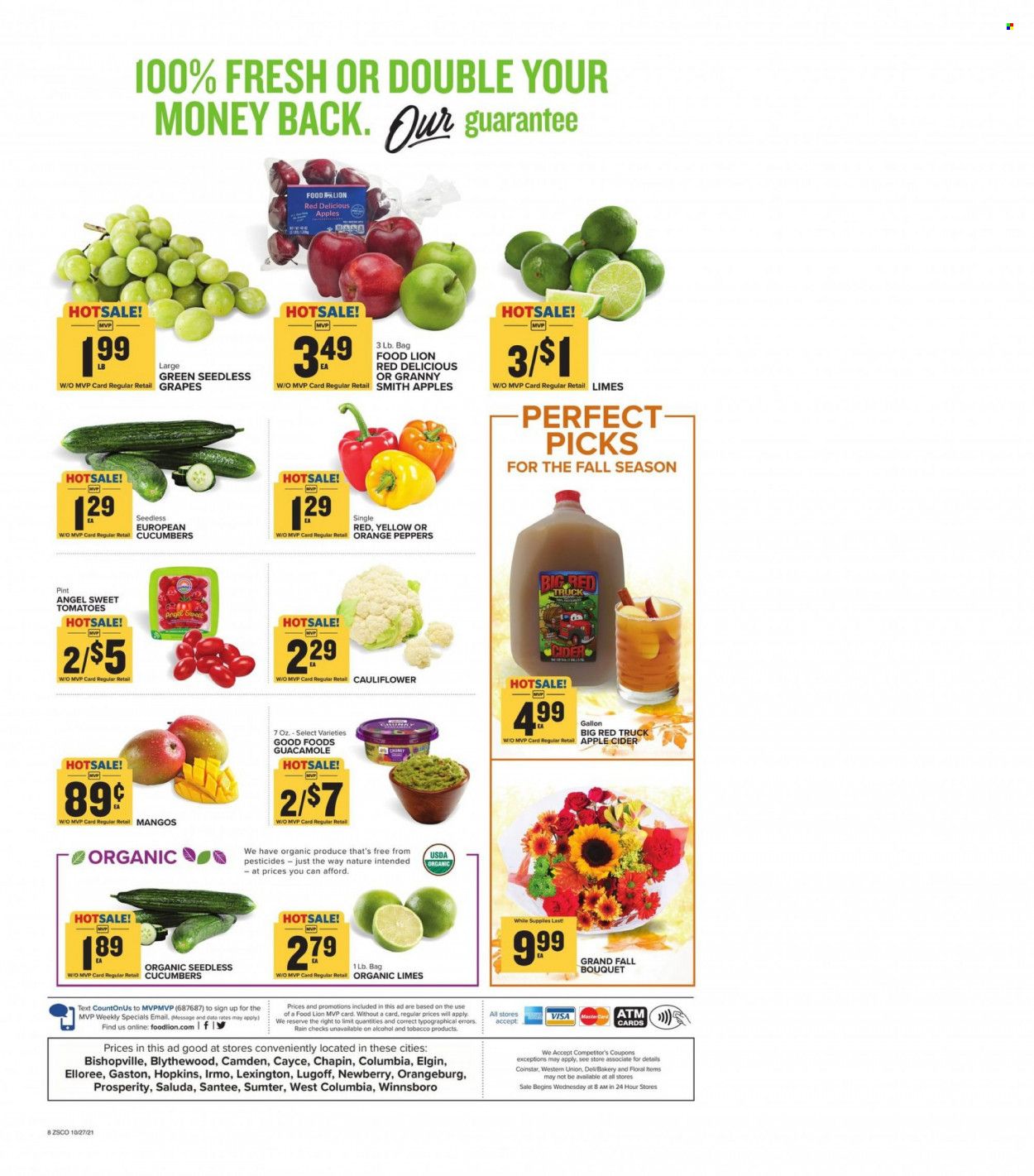 Food Lion (SC) Weekly Ad Flyer October 28 to November 4