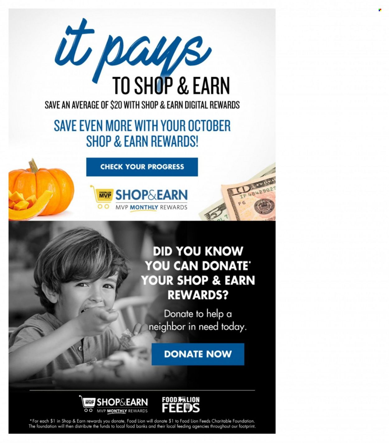 Food Lion (SC) Weekly Ad Flyer October 28 to November 4