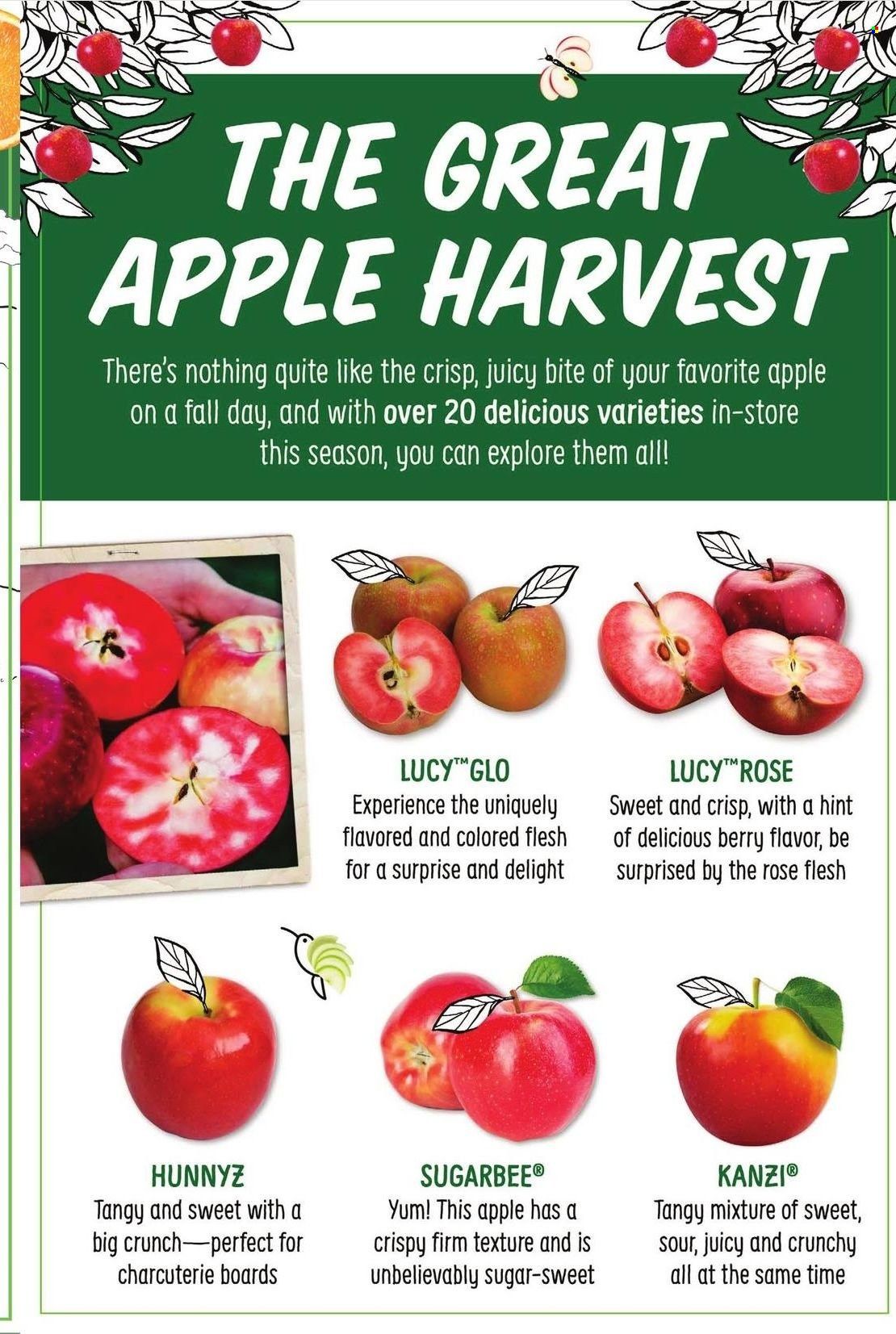 Sprouts Weekly Ad Flyer November 3 to November 10
