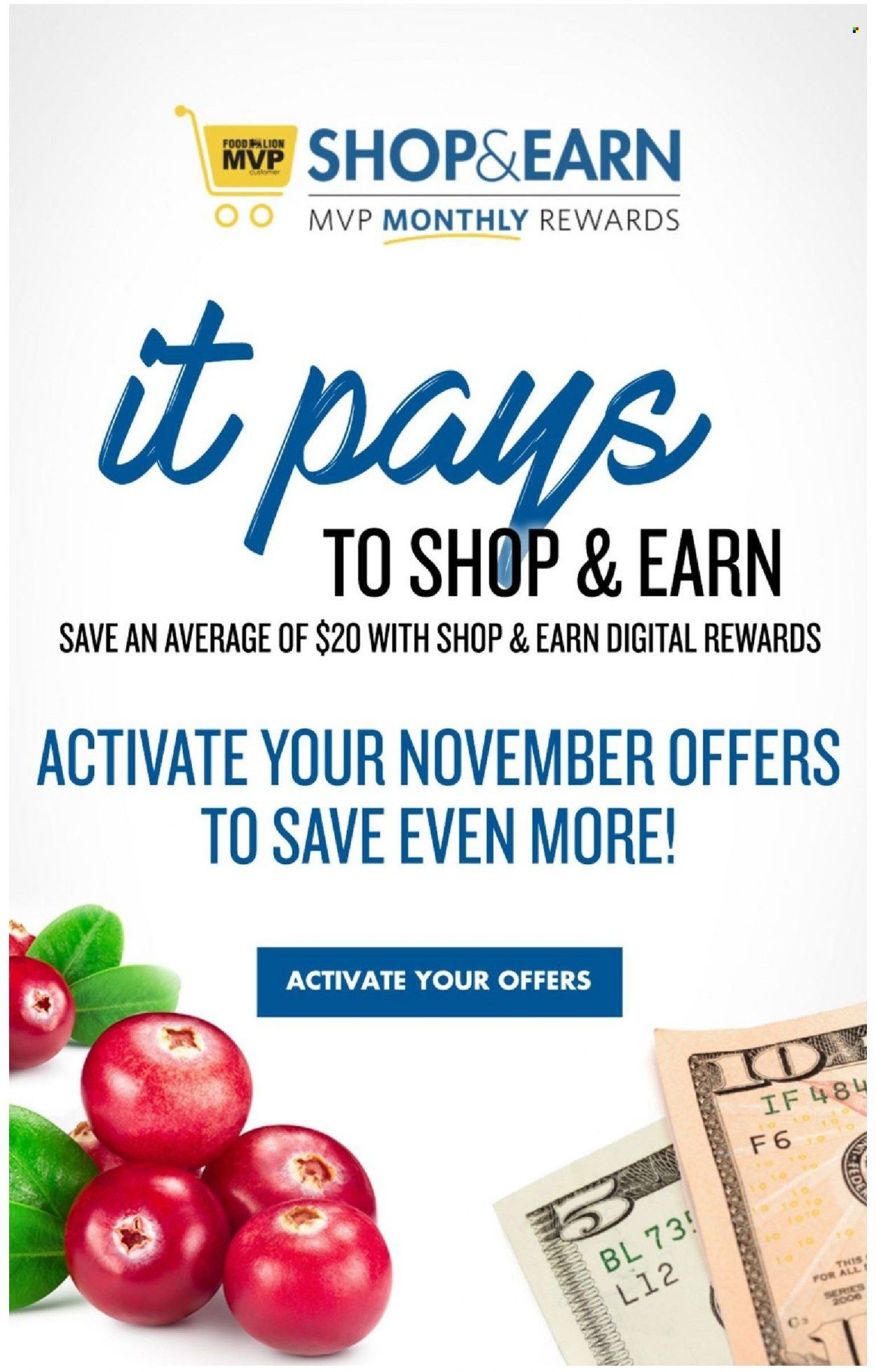 Food Lion (MD) Weekly Ad Flyer November 3 to November 10