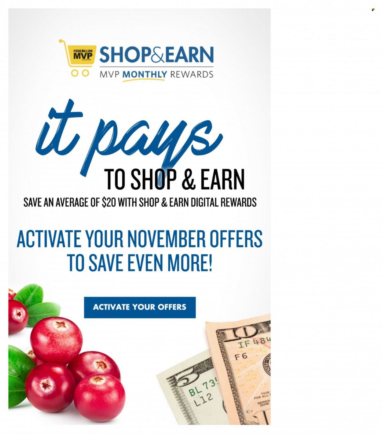 Food Lion (SC) Weekly Ad Flyer November 3 to November 10