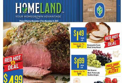 Homeland (OK, TX) Weekly Ad Flyer November 3 to November 10