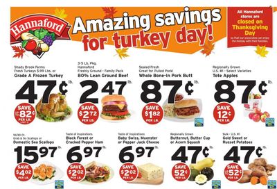 Hannaford (MA) Weekly Ad Flyer November 13 to November 20