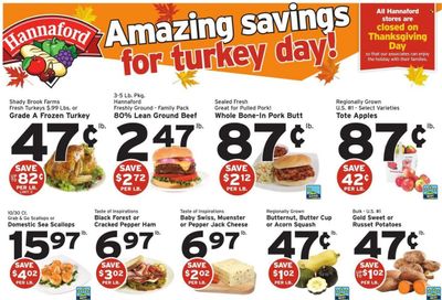Hannaford (VT) Weekly Ad Flyer November 13 to November 20
