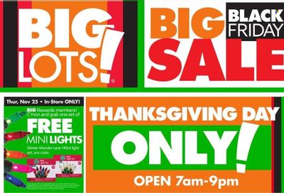 Big Lots Weekly Ad Flyer November 13 to November 20