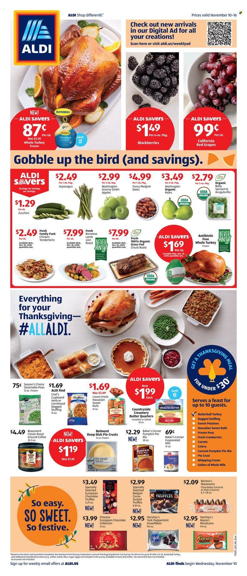 ALDI (FL, GA) Weekly Ad Flyer November 14 to November 21
