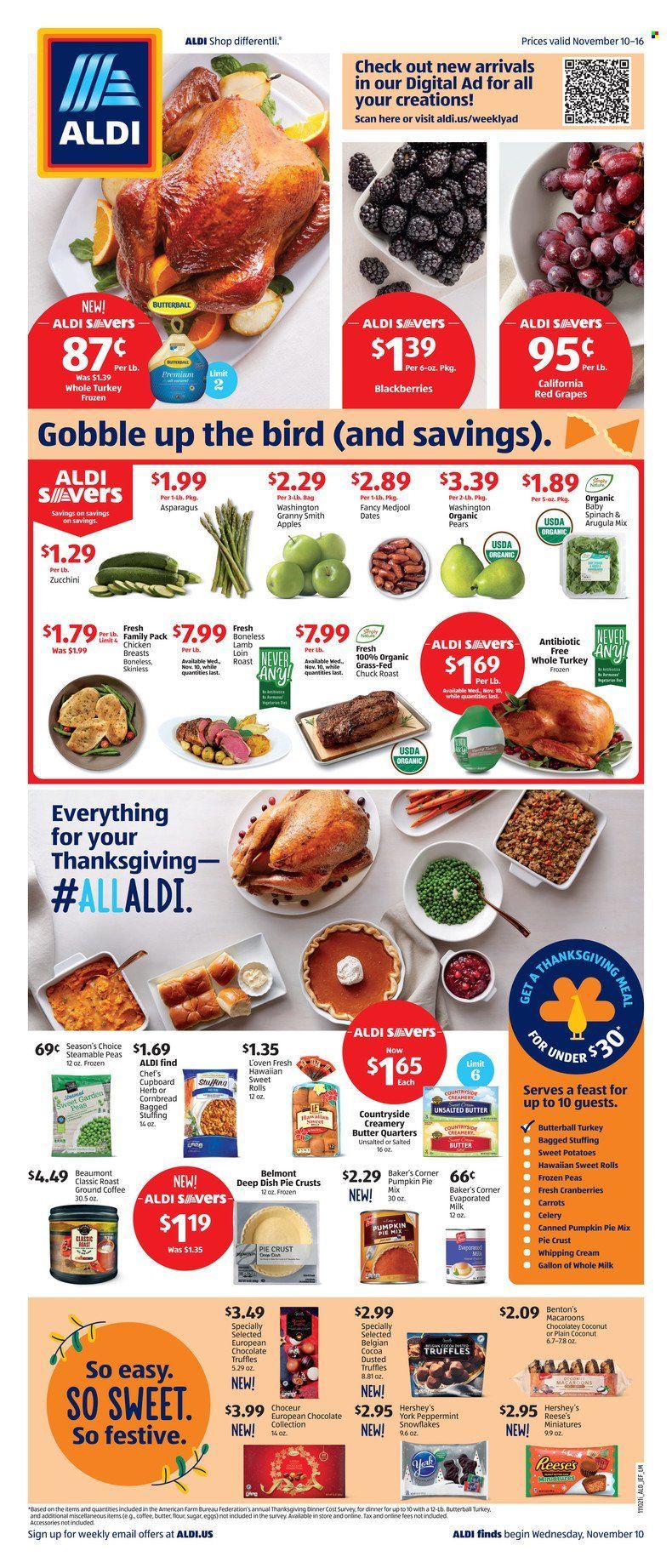 ALDI (GA, SC) Weekly Ad Flyer November 14 to November 21