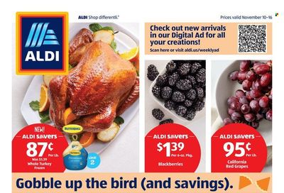 ALDI (GA, SC) Weekly Ad Flyer November 14 to November 21