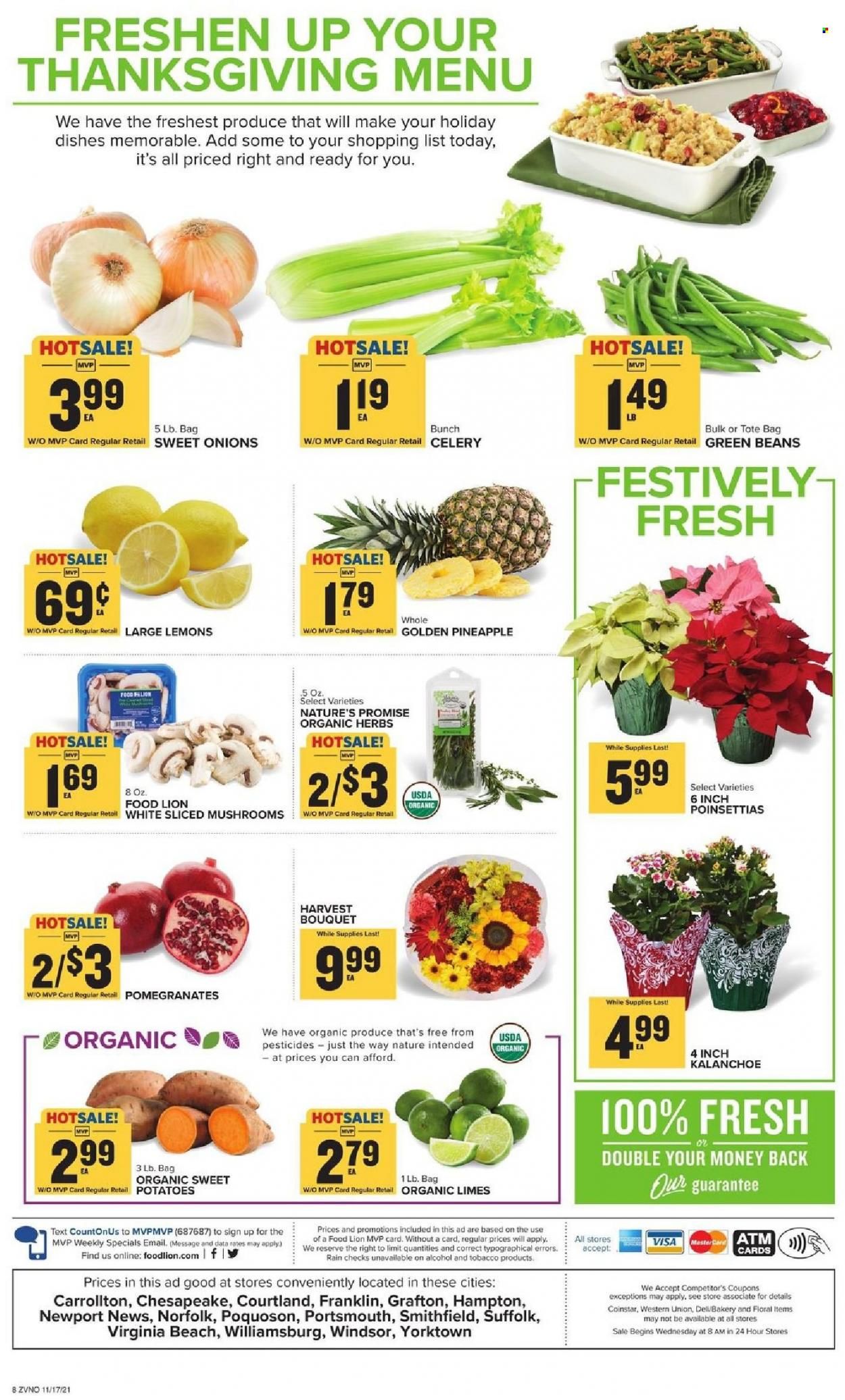 Food Lion (VA) Weekly Ad Flyer November 17 to November 24