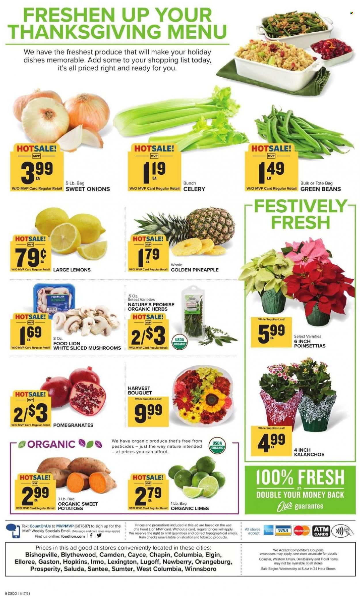 Food Lion (SC) Weekly Ad Flyer November 17 to November 24