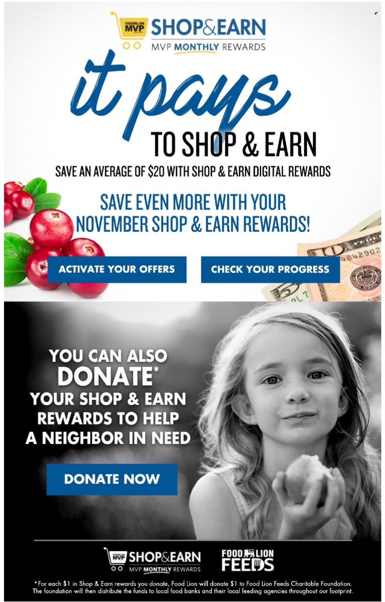 Food Lion (SC) Weekly Ad Flyer November 17 to November 24