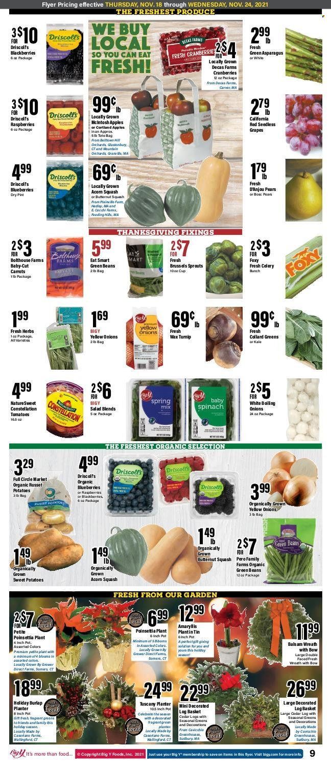 Big Y (MA) Weekly Ad Flyer November 17 to November 24