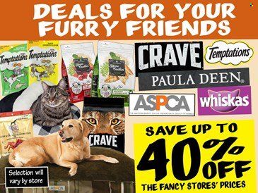 Ollie's Bargain Outlet Weekly Ad Flyer November 17 to November 24