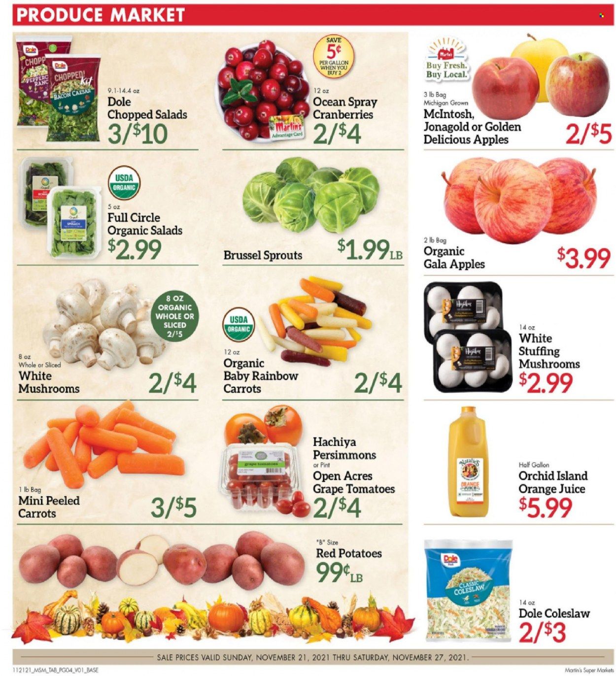 Martin’s (IN, MI) Weekly Ad Flyer November 20 to November 27