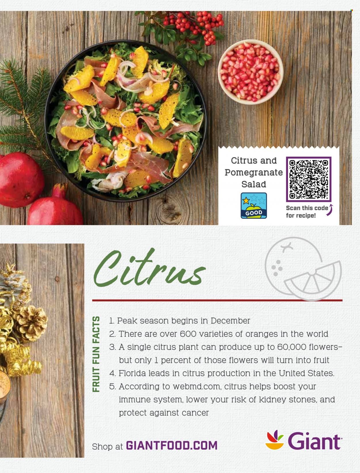 Giant Food (DE, MD, VA) Weekly Ad Flyer November 24 to December 1