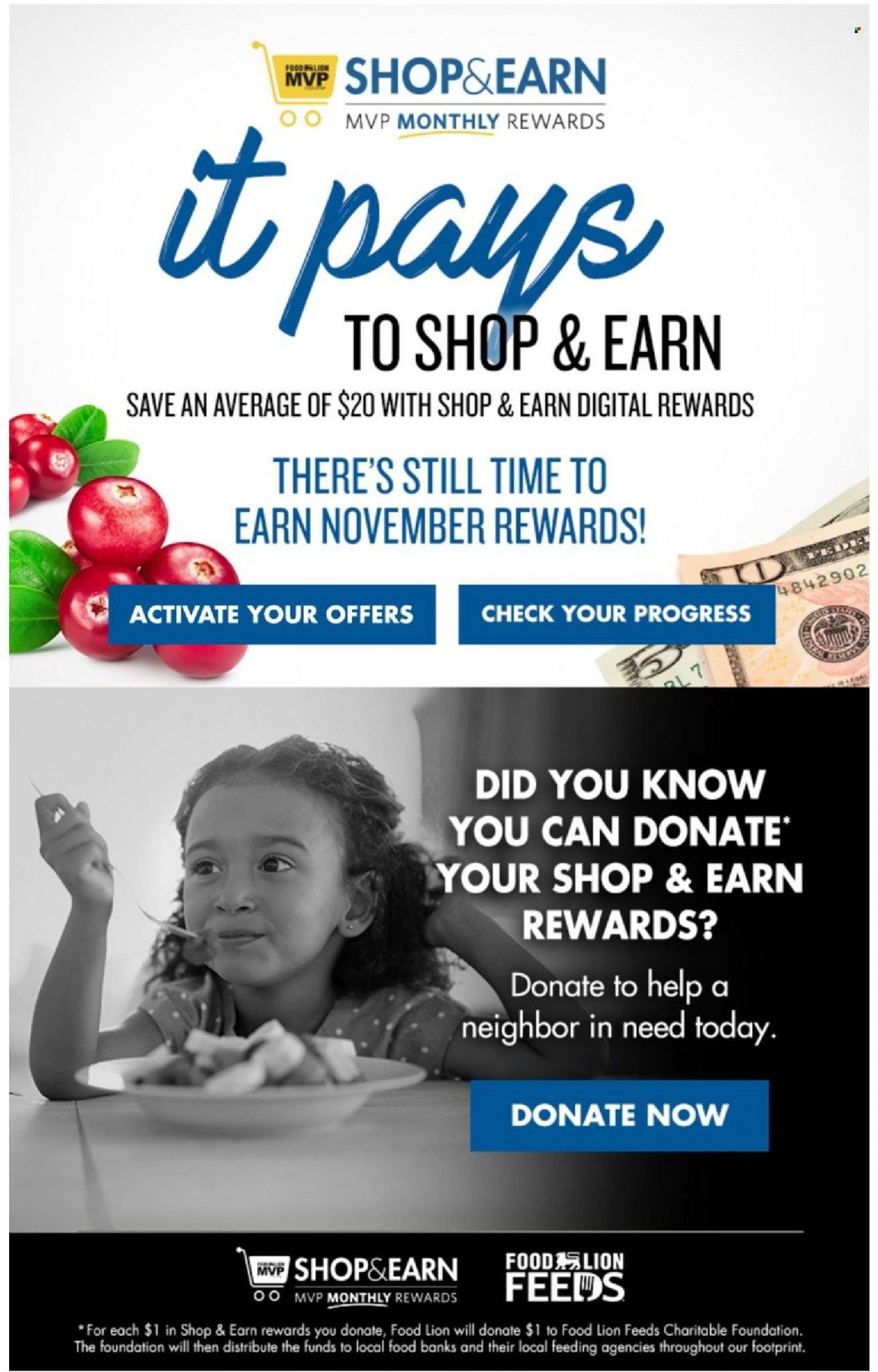 Food Lion (NC) Weekly Ad Flyer November 26 to December 3