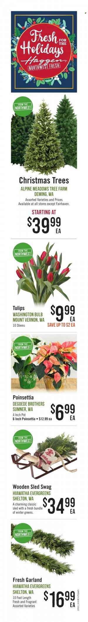 Haggen (WA) Weekly Ad Flyer December 1 to December 8