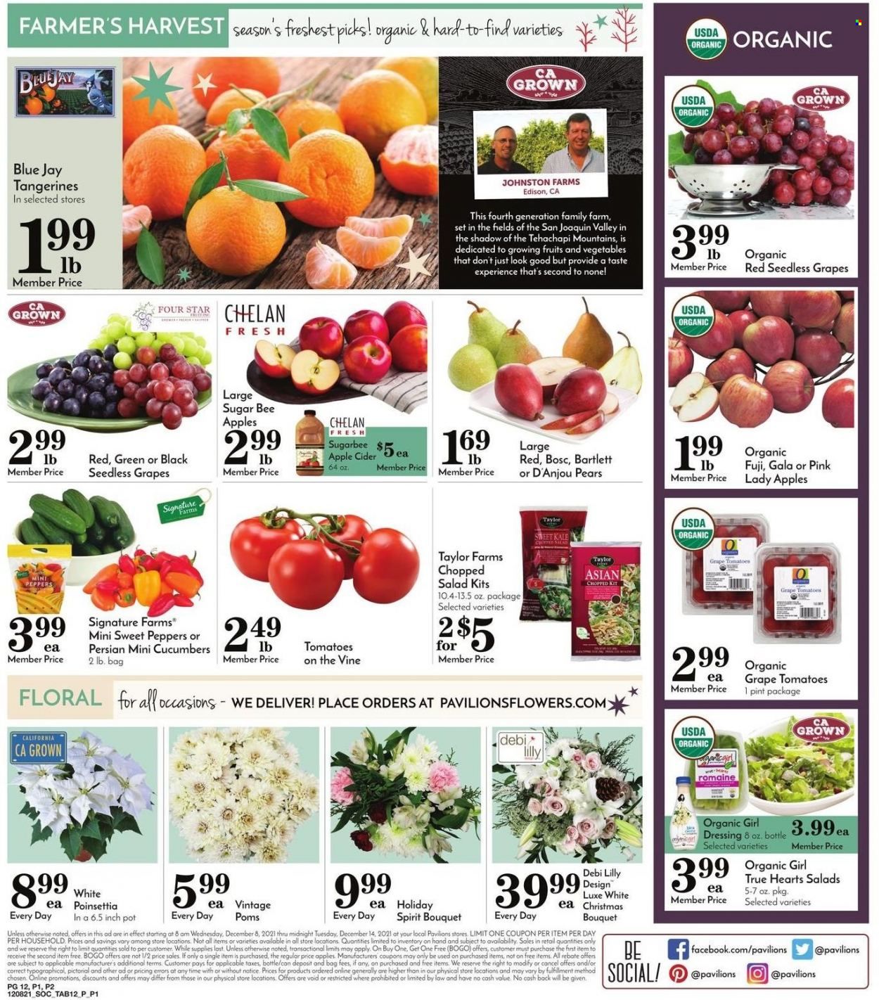 Pavilions (CA) Weekly Ad Flyer December 8 to December 15