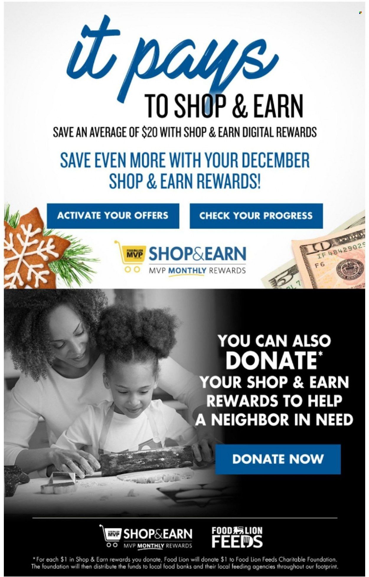 Food Lion (VA) Weekly Ad Flyer December 17 to December 24