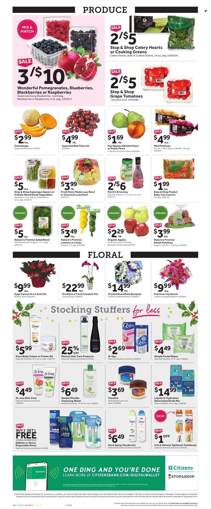 Stop & Shop (RI) Weekly Ad Flyer December 17 to December 24