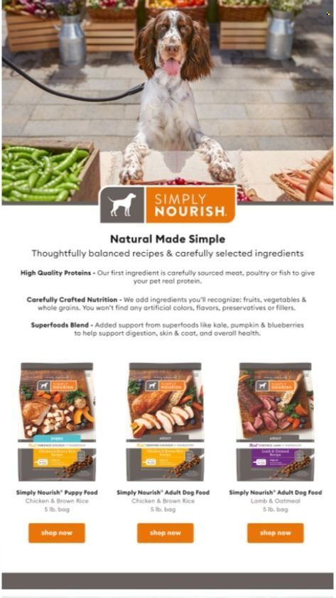 PetSmart Weekly Ad Flyer December 19 to December 26