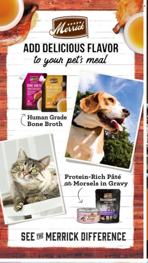PetSmart Weekly Ad Flyer December 19 to December 26