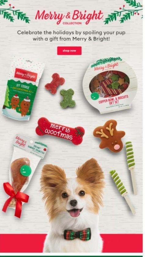 PetSmart Weekly Ad Flyer December 19 to December 26