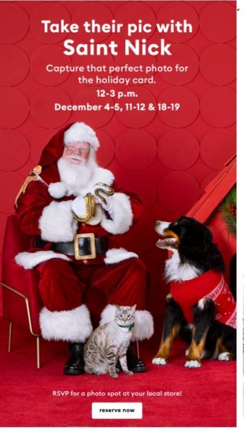 PetSmart Weekly Ad Flyer December 19 to December 26