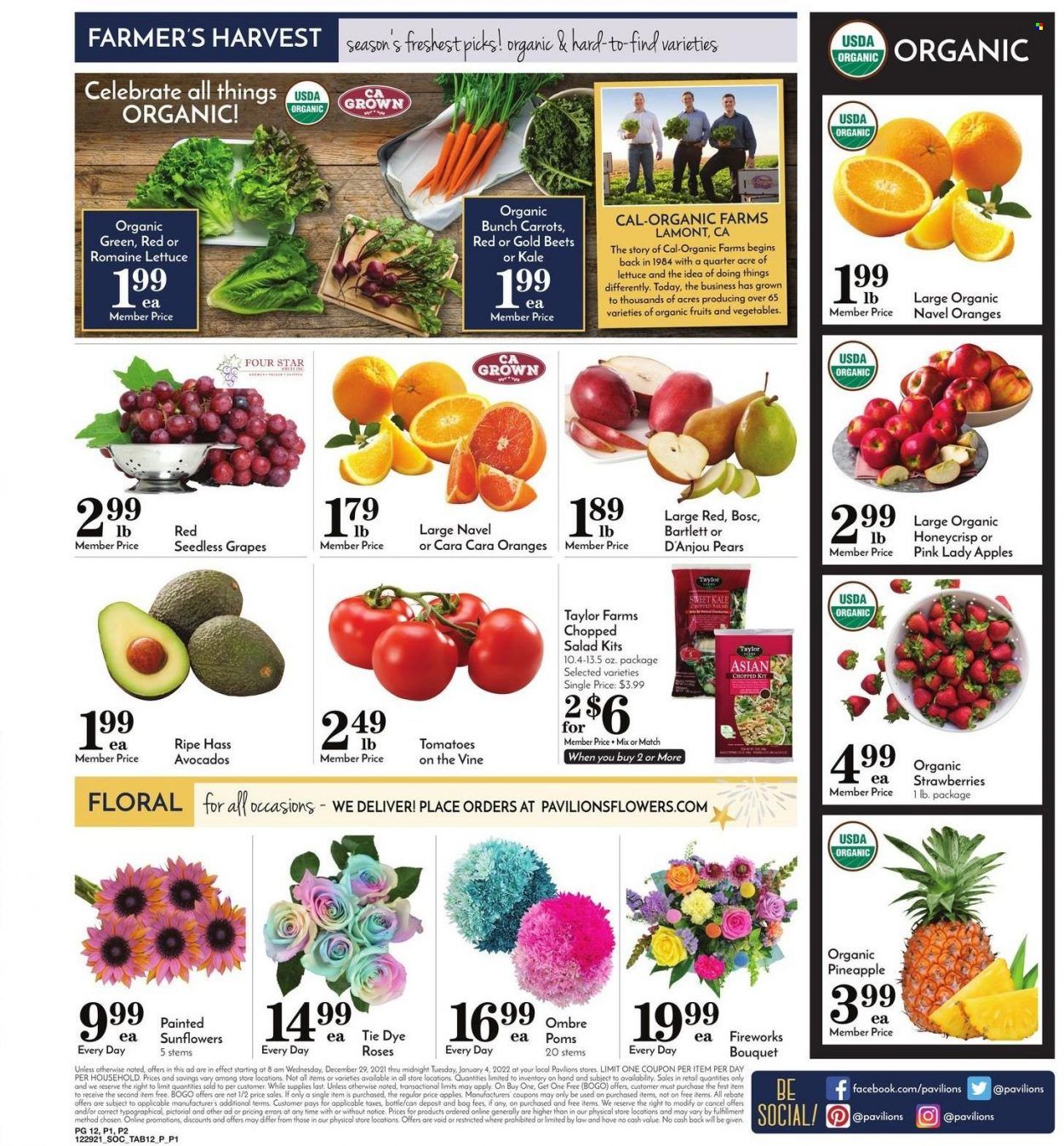 Pavilions (CA) Weekly Ad Flyer December 30 to January 6