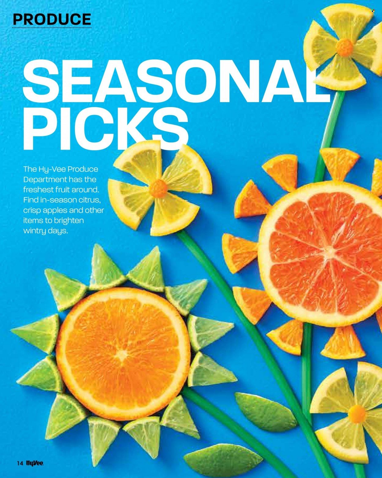 Hy-Vee (IA, IL, MN, MO, SD) Weekly Ad Flyer January 1 to January 8