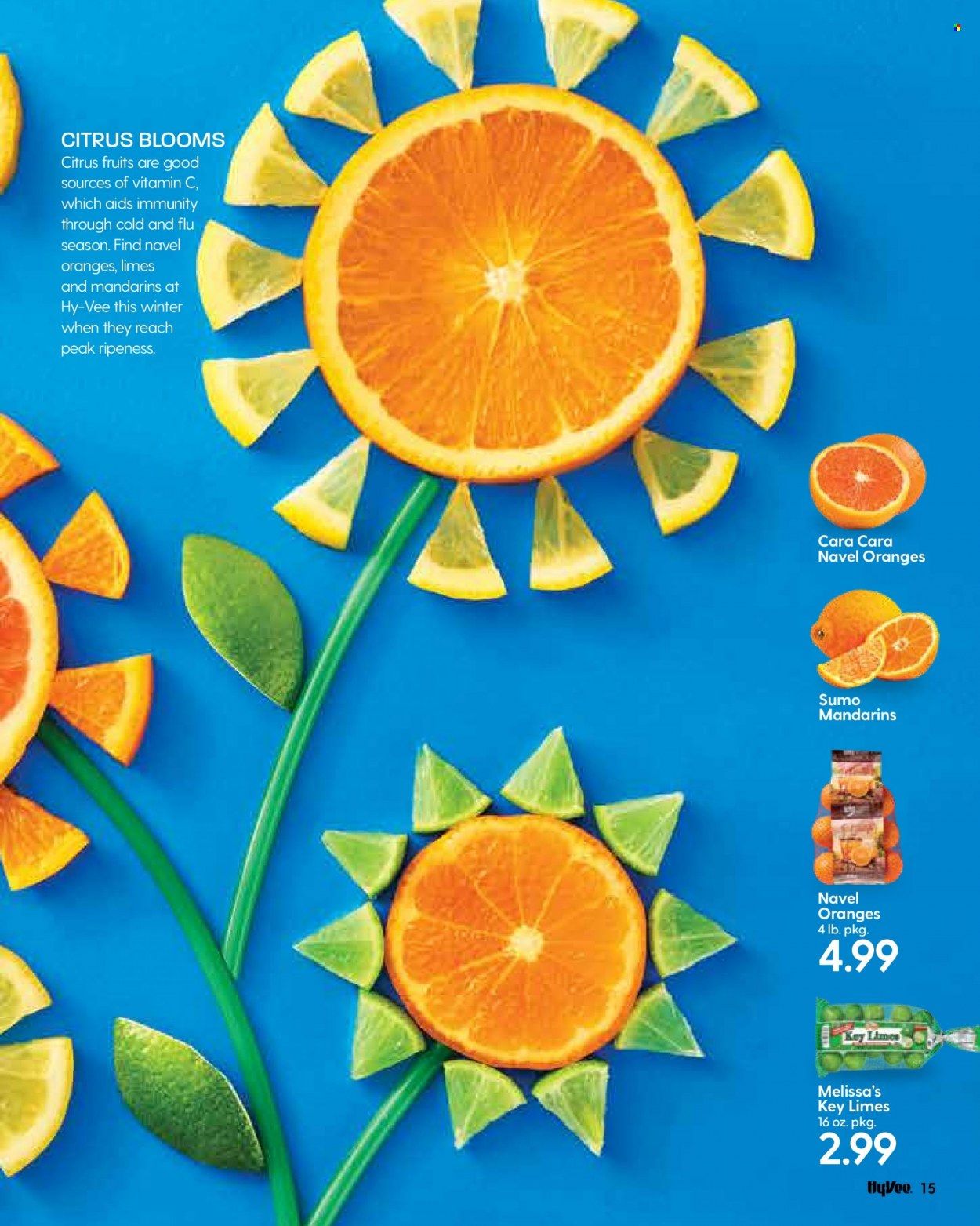 Hy-Vee (IA, IL, MN, MO, SD) Weekly Ad Flyer January 1 to January 8