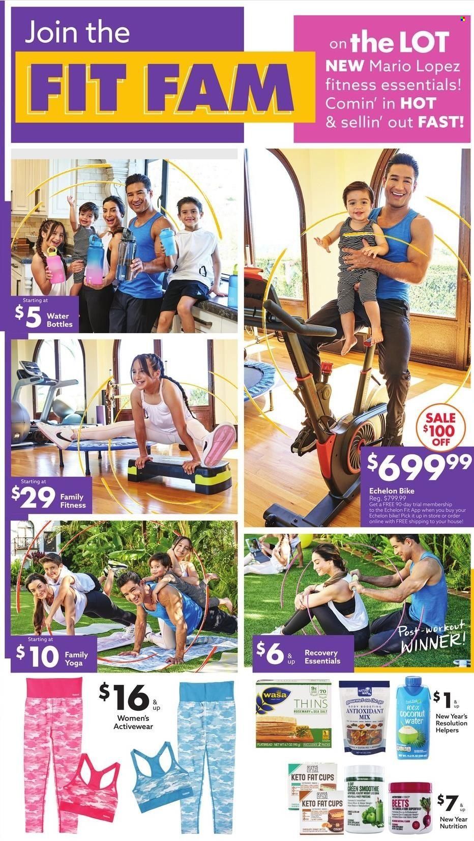 Big Lots Weekly Ad Flyer January 1 to January 8