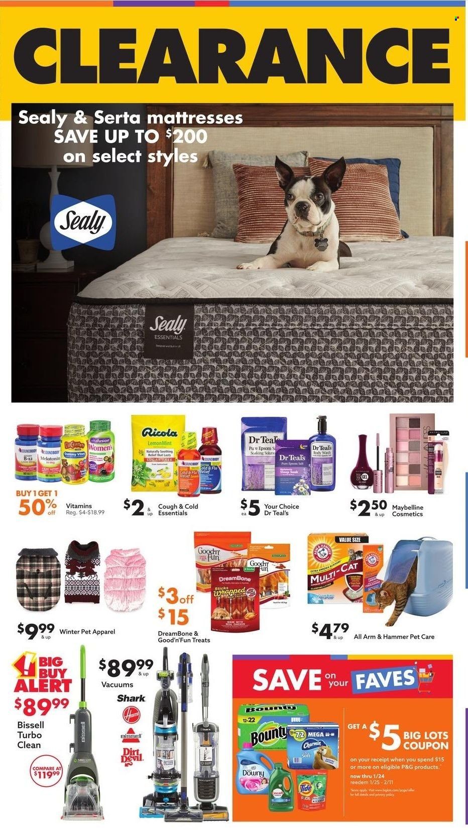 Big Lots Weekly Ad Flyer January 1 to January 8