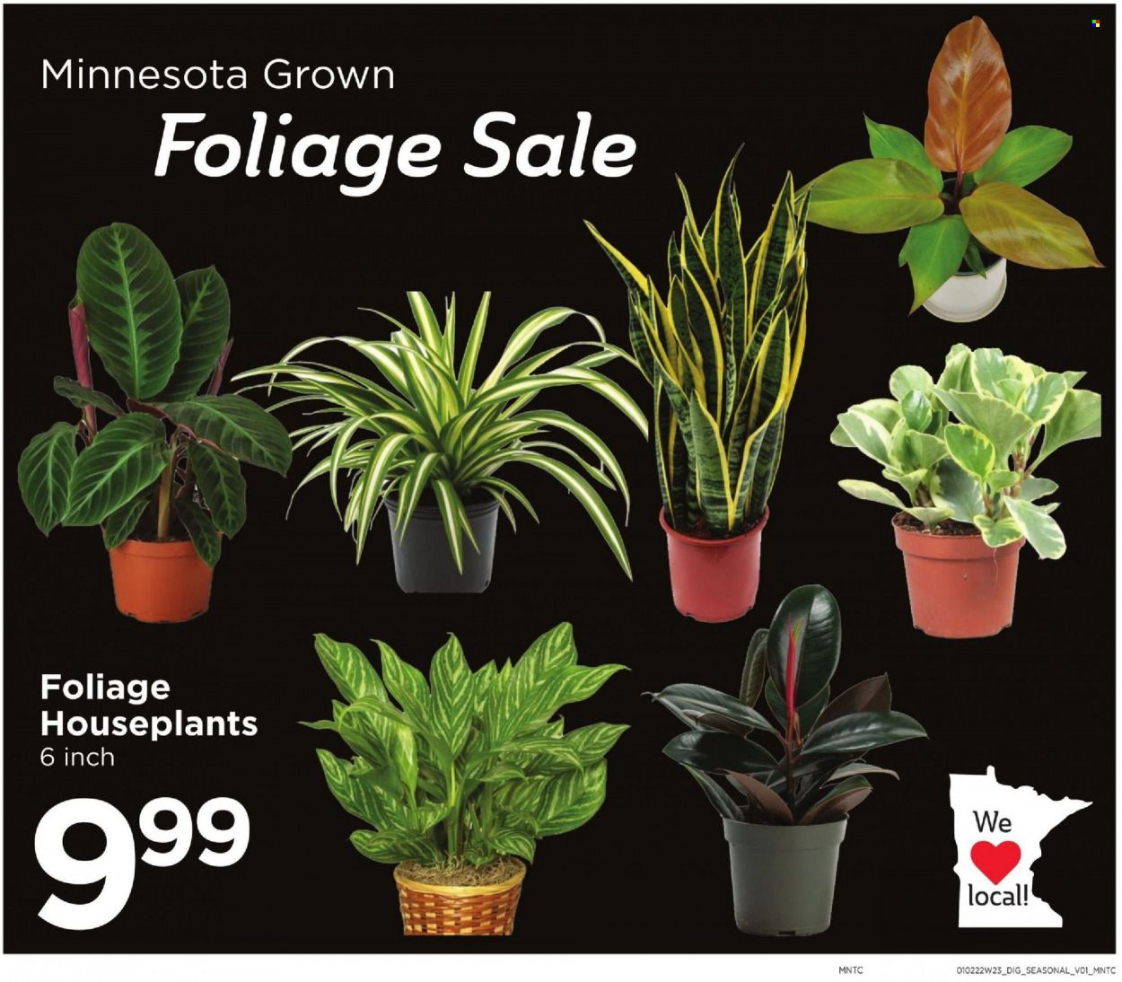Cub Foods (MN) Weekly Ad Flyer January 1 to January 8