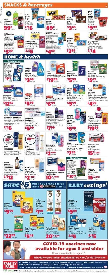 Family Fare (MI) Weekly Ad Flyer January 2 to January 9