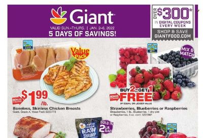 Giant Food (DE, MD, VA) Weekly Ad Flyer January 2 to January 9