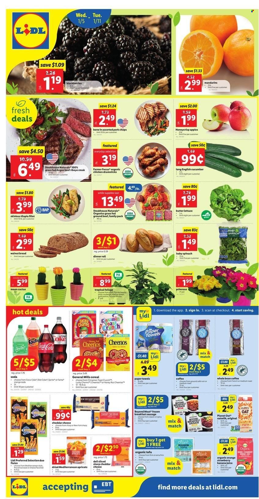 Lidl (GA, MD, NC, NJ, PA, SC, VA) Weekly Ad Flyer January 3 to January 10